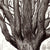 Champion American Elm Tree • Ann Arbor, MI • Signed Art Prints by John Tebeau