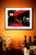Corner Bistro of the West Village in Manhattan, New York signed prints. (ships free in the US)