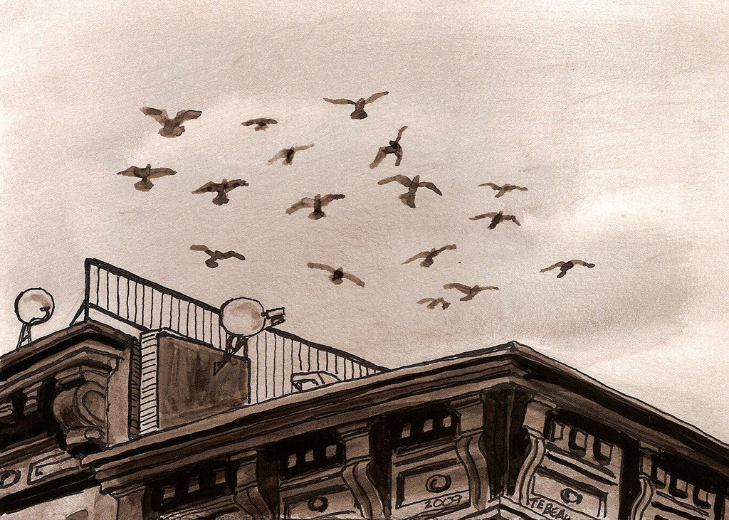 Pigeons in New York, signed print of a painting by John Tebeau